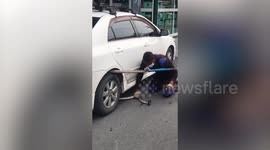 Wildlife rescuers drag 10ft python out of car's fender