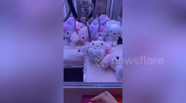 Lucky arcade-goer keeps winning prizes from toy claw machine