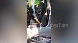 Toddler rescued from locked car in Thailand