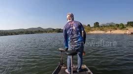 Angler rescues cow calf trying to swim through lake to escape dog