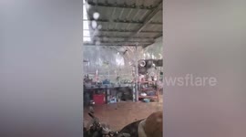 Freak storm batters family's kitchen and garden