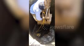 Bull rescued after it fell into open well in central India