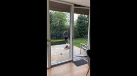 Chase chronicles: London's swift shoe snatcher