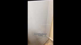 Feline refrigerator repair expert caught in action