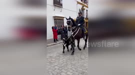 Adorable pony captures hearts during police parade in Spain