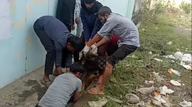 Cow rescued from narrow drain in central India