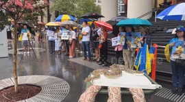Ukrainians hold ‘Free the Taipans’ rally in Sydney Australia