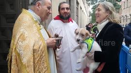 Paws for prayer: Pet dogs blessed by priests in Madrid for annual ritual