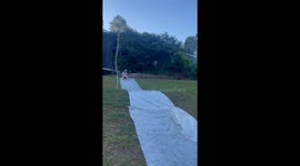Australian Christmas chaos: Slip-and-slide dream meets unexpected paws