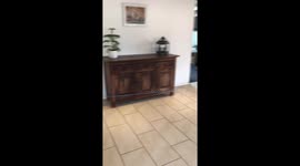 Doberman Goes in Circles Chasing Ball