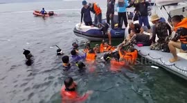 Officers rescue humpback dolphin caught in weighted fishing net off southern Thailand