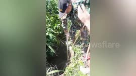 Rescuers pull trapped dog from bottom of well with rope