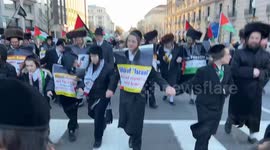 Jews Against Zionism March in Unity with Palestine Supporters in Washington, DC, USA