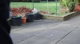 WW2 veteran, 100, walks 660 miles around his garden to raise money for charity