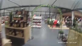 Police Dog Pursues Garden Centre Burglar in Wyton, UK