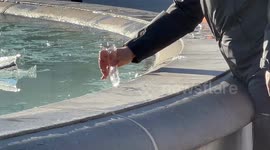 Fountains covered with thick ice in London’s Trafalgar Square after coldest night
