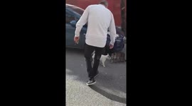 The phenomenon cat named 'Dirty' is fighting with different cats again