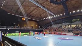 Pro-Palestine group chant in favour of ceasefire at handball match between Israel and Luxembourg