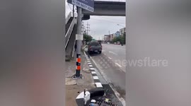 Kind driver rescues fish stranded on road after floods