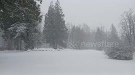 Snow Virtually Shuts Down Main Western Truck Crossing Between Canada and United States