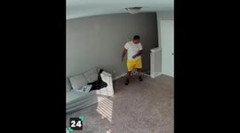 Funny Animals on CCTV