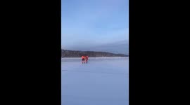 Rescuers brave the ice: successful effort to save stranded roe deer at Beloyarsk Reservoir in the Urals
