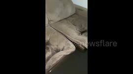 Rio de Janeiro residents battle severe floods as heavy rains devastate homes