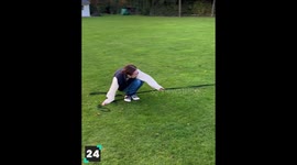Funny Animals #2