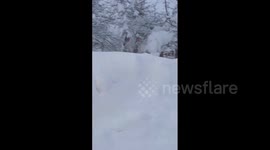 US: Lake Effect Snow Continues To Hit Western New York 3