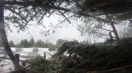 Russian Howitzers allegedly destroy Ukrainian artillery crews in counter-battery fire