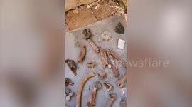 Plumber finds over 20 bones underneath floorboards when fixing a bathroom
