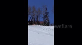 Snowboarding Bulldog