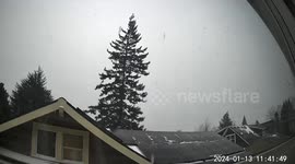 Tall Tree Crashes On Oregon House
