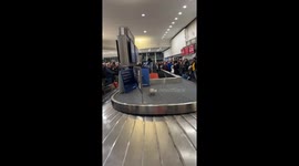 Airport Employee Carries Baggage After Belt Breaks