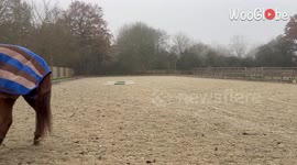 Woman fails to mount her horse properly *Hilarious Horse-riding Fail*