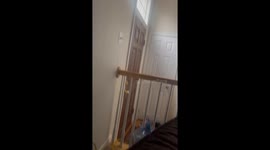 Daughter returning from school is air horned by Mother *Hilarious Reaction*