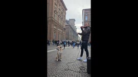 Unlikely duet captivates Turin as violinist and canine companion harmonize
