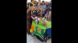 Lively new year tradition: Rocoleona the dog receives lion blessing at Okinawa Peace Memorial Park