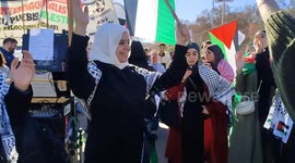 Pro-Palestine rally in Madrid on 20 January, 2024.