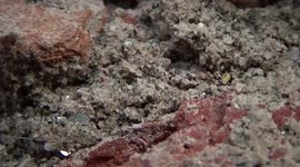 zooming the brown bricks and the joints of the wall. clear HD footage.