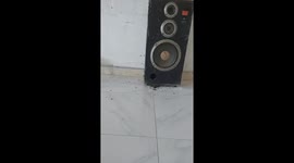 A swarm of bees built a nest in a man's speaker