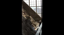 Entire Wall Of Giant Dinosaur Fossils