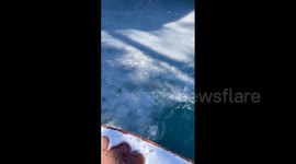 US: Cold Temperatures Freeze Backyard Pool In Oklahoma