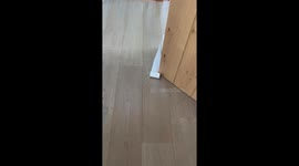 Toilet roll and Toddler Obstacle Course!