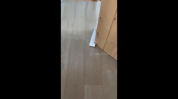 Toilet roll and Toddler Obstacle Course!