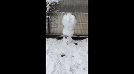 Never Leave  Your Snowman Alone With a Whiskey Bottle
