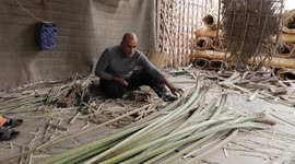 Making furniture from palm trees