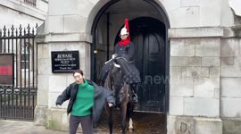 Guard's horse BITES and rips coat of tourist posing for photo in London