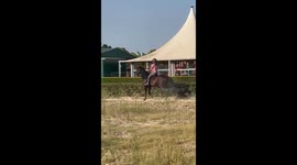 Doma clásica con Coronel. El caballo perfecto...seguimos avanzando.