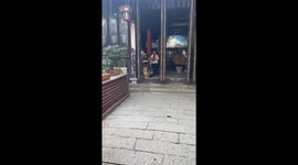 Charming Greeter: enthusiastic puppy attracting travelers to visit souvenir store wins hearts of people